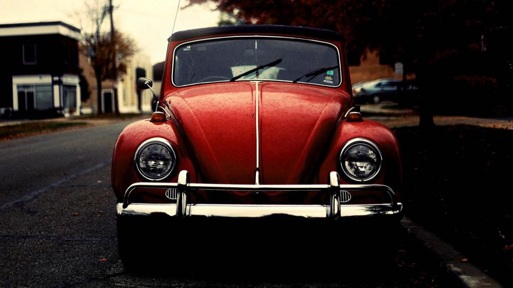 Red Volkswagen Beetle vintage car :) wallpaper