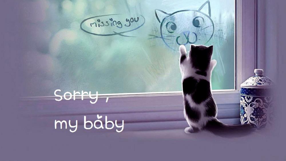 sorry, baby, I miss you wallpaper