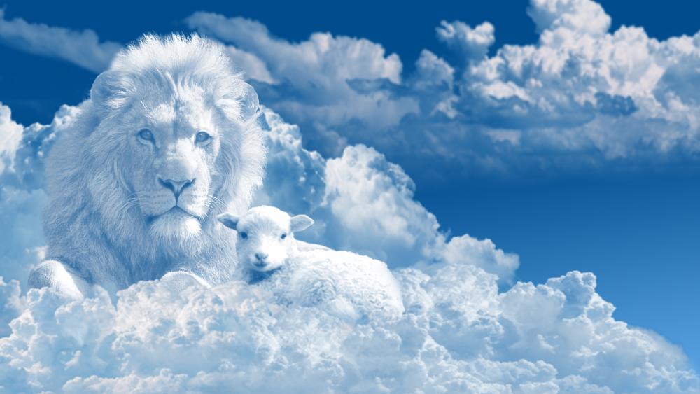 Lamb with a lion on the clouds wallpaper