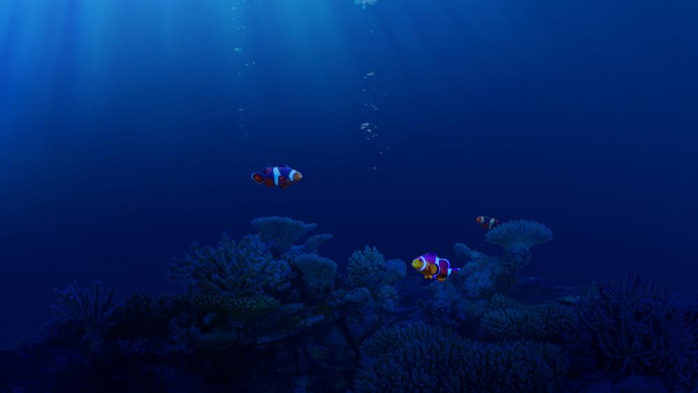 Clownfishes wallpaper