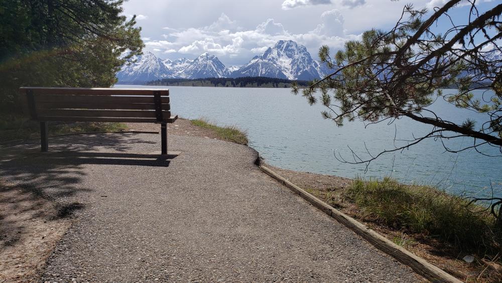 A bench overlooking the Mount Moran wallpaper