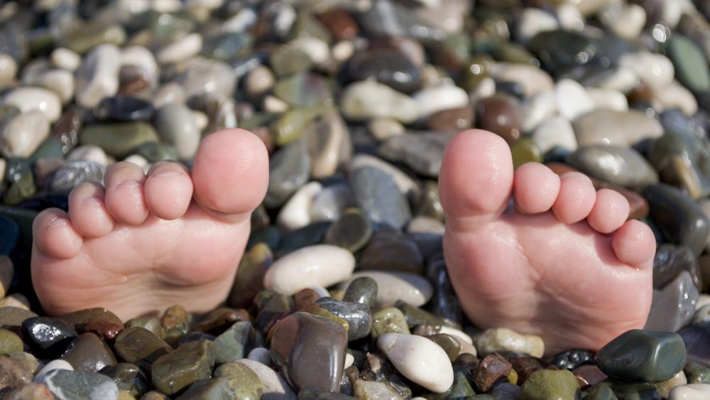 Toes from the pebble wallpaper