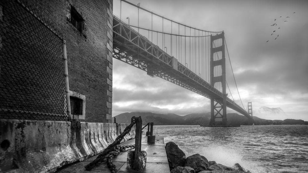 Golden Gate Bridge monochrome photo wallpaper