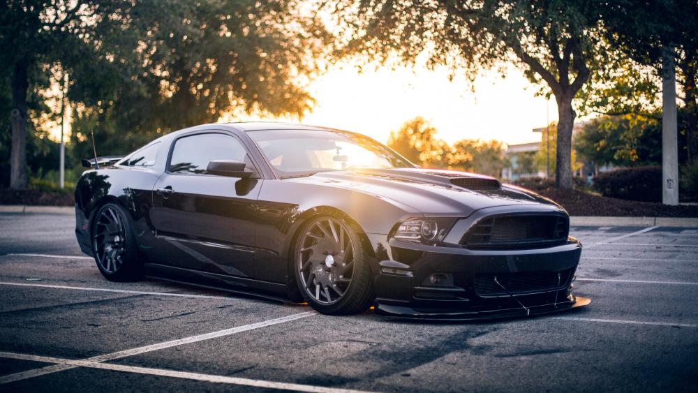 Black Ford Mustang Shelby wallpaper