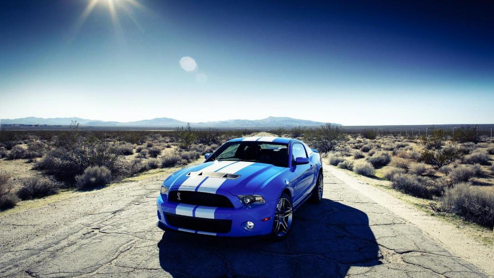 Ford Shelby wallpaper