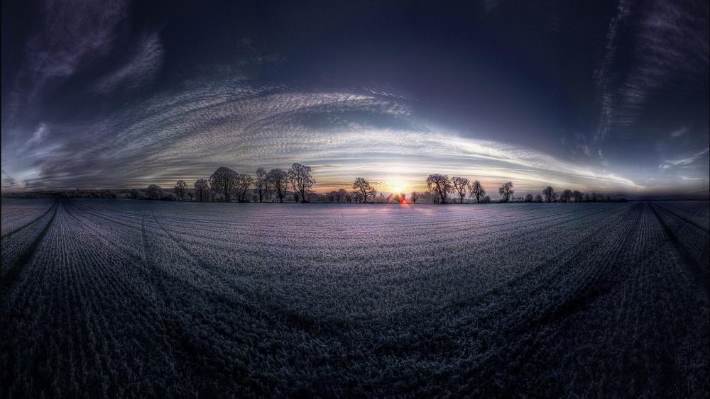 360 Photography of Field wallpaper