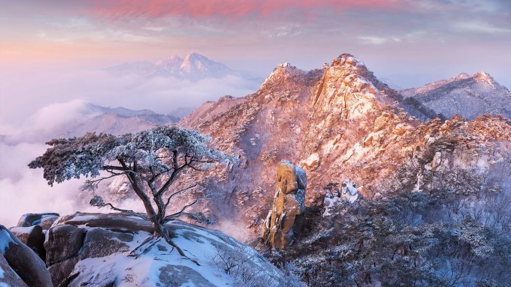 Majestic Winter Landscape at Dawn wallpaper
