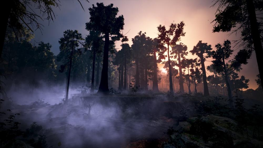 Black Desert wallpaper
