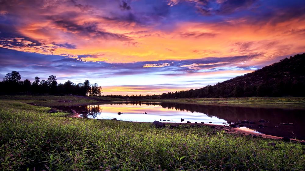 Colourful sunset wallpaper