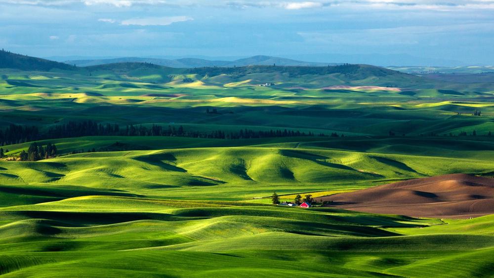 Rolling Green Hills Symphony wallpaper