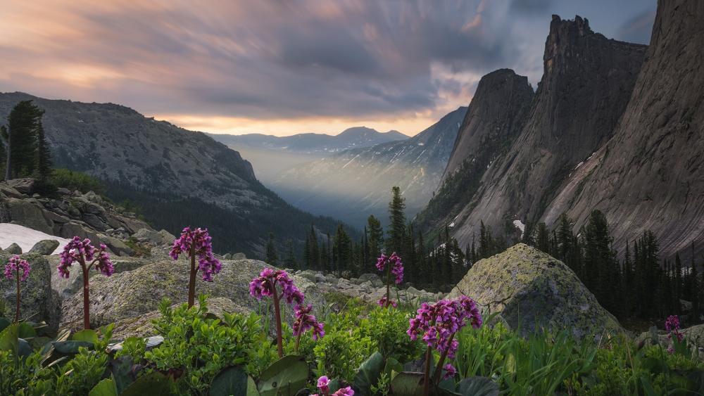 Majestic Mountain View at Dusk wallpaper