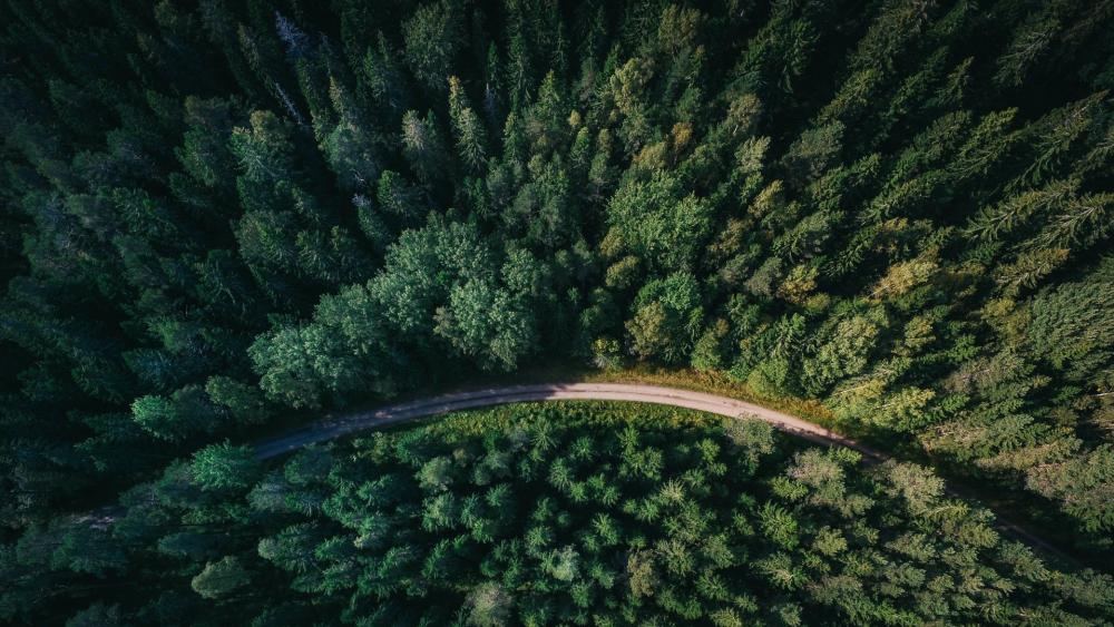 Aerial Photography of Road wallpaper