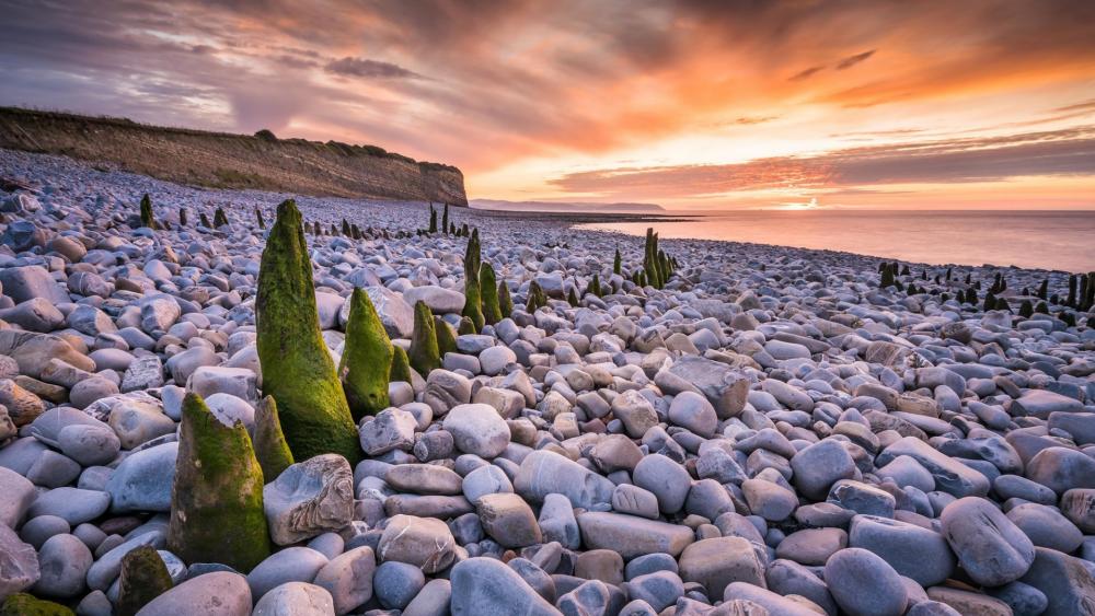Serene Coastal Landscape at Sunset wallpaper