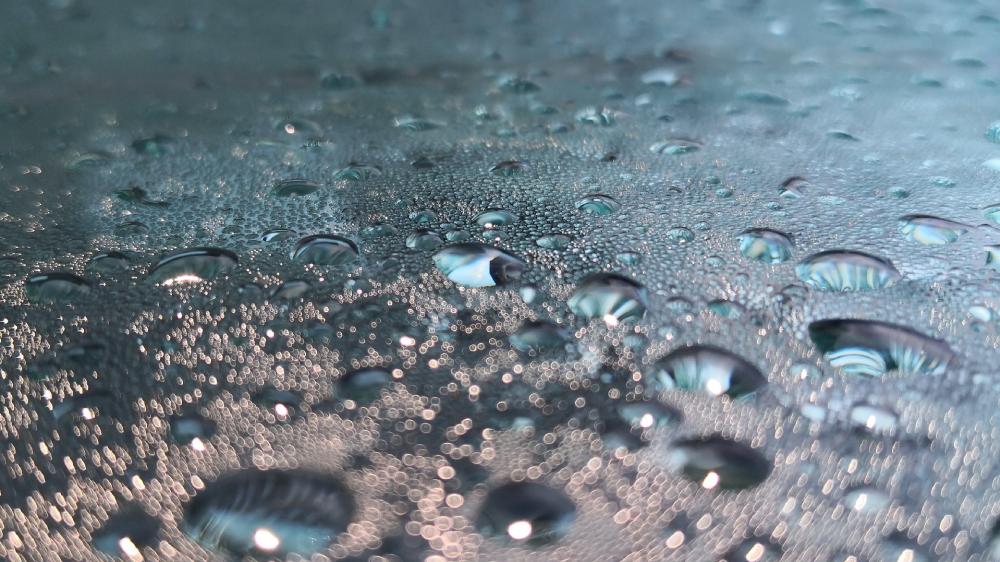 Glistening Water Droplets on Surface wallpaper