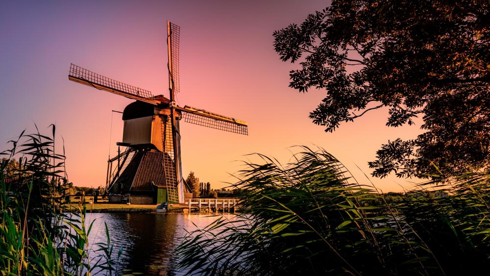 Timeless Windmill Sunset Serenity wallpaper
