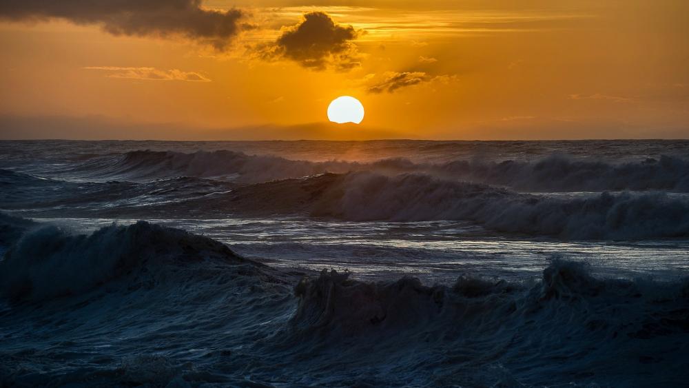 Sunset Serenade Over Rolling Waves wallpaper