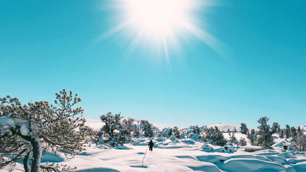 Sun Rise in Snowing Winter wallpaper