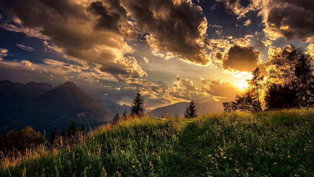 Sunset Majesty Over Mountain Meadows wallpaper