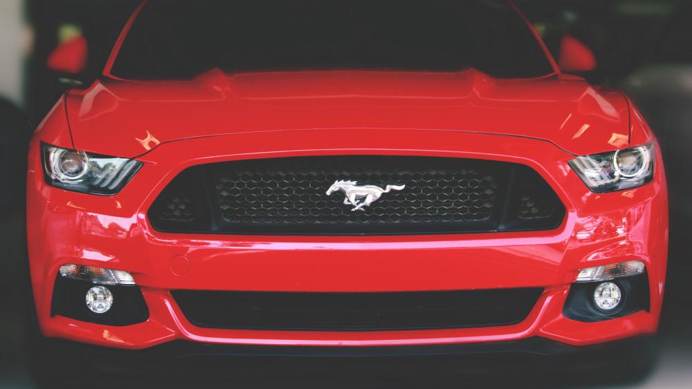 Front View of Red Mustang wallpaper