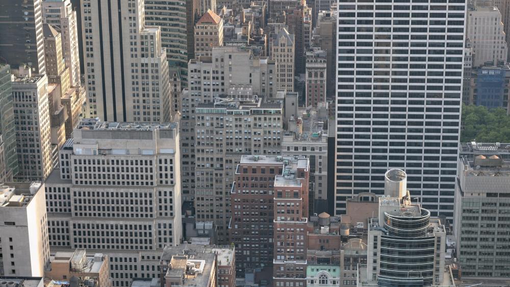 New York Skyscrapers wallpaper