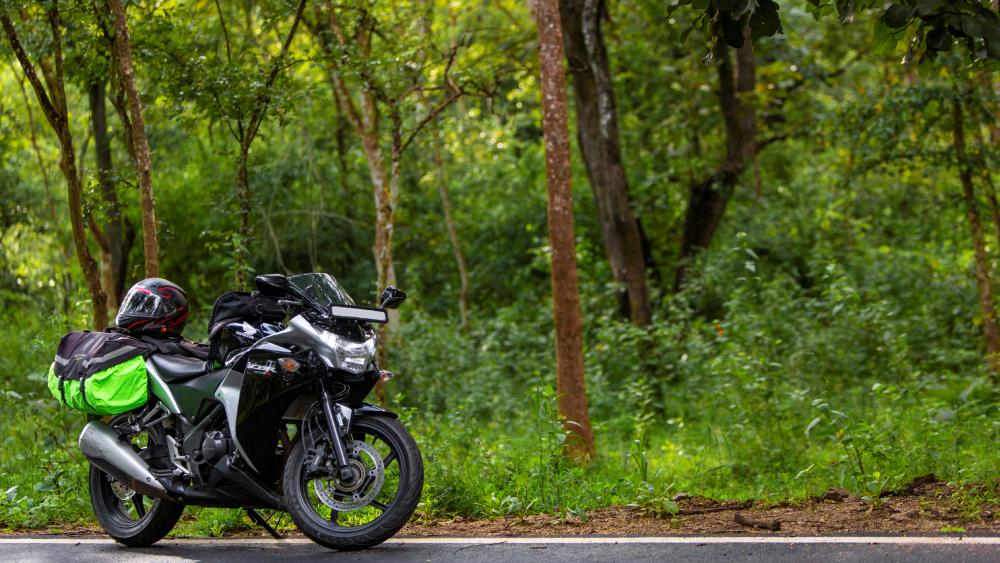 Motorcycle ride through Forest wallpaper