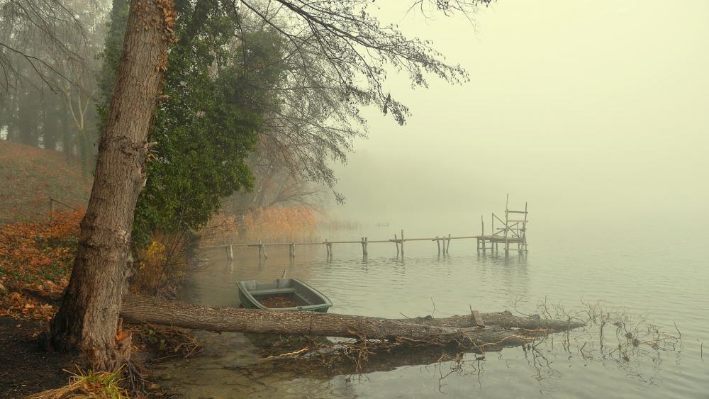 Misty Lake Shore in Autumn Serenity wallpaper