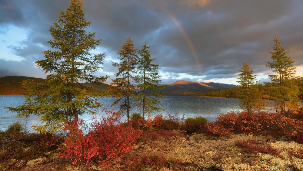 Serene Nature Scene with Rainbow Over Waterway wallpaper