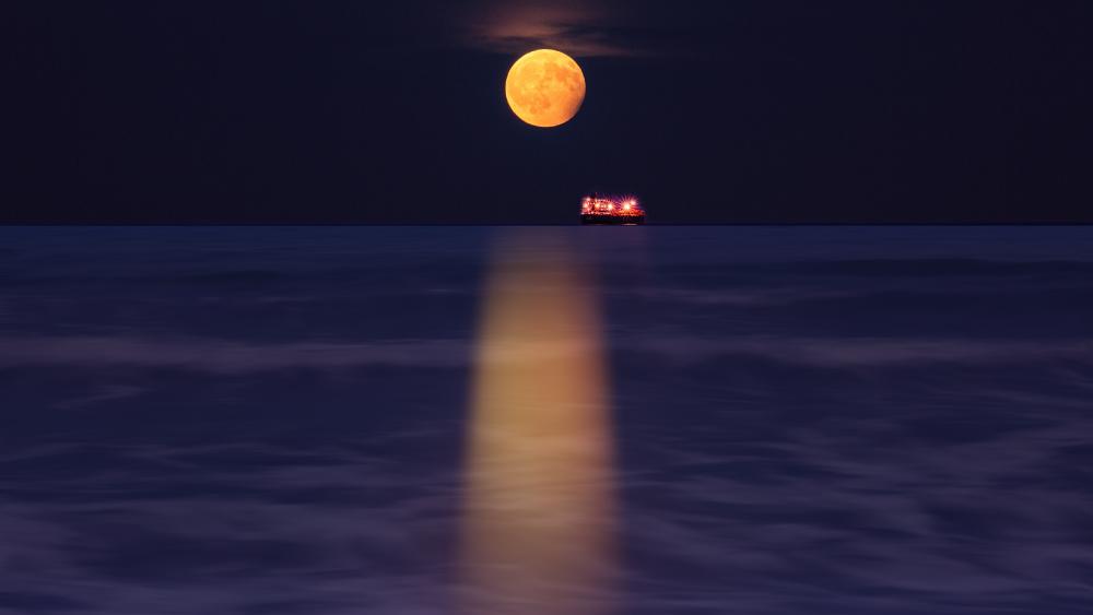 Moonlit Ocean Serenity at Night 5k wallpaper