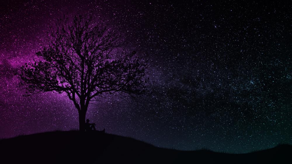 Solitary Tree Under a Star-Scattered Sky wallpaper