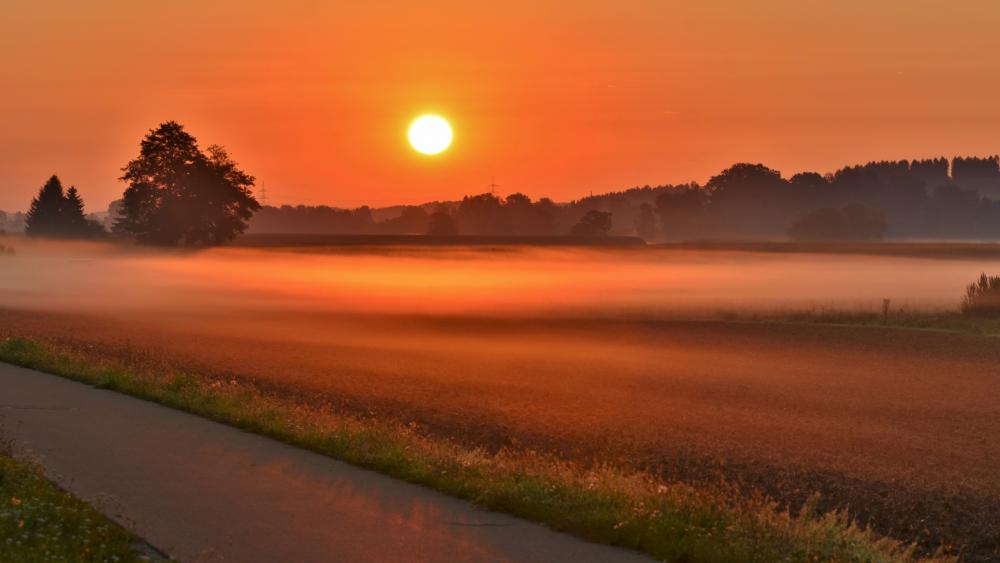 Serene Sunrise Over Misty Fields wallpaper