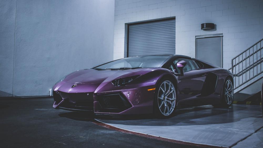 Purple  Lamborghini wallpaper