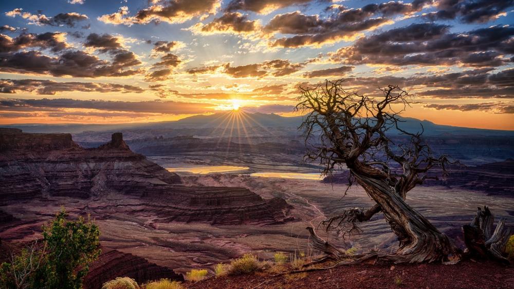 Sunset Over Desert Canyon Vista wallpaper