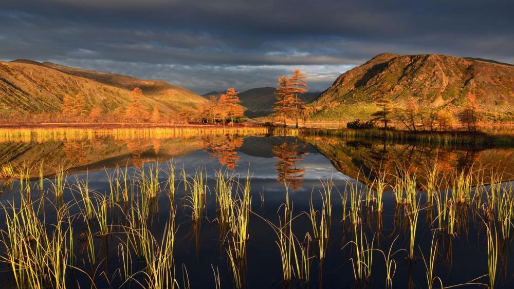 Majestic Autumn Reflections in Serene Waters wallpaper