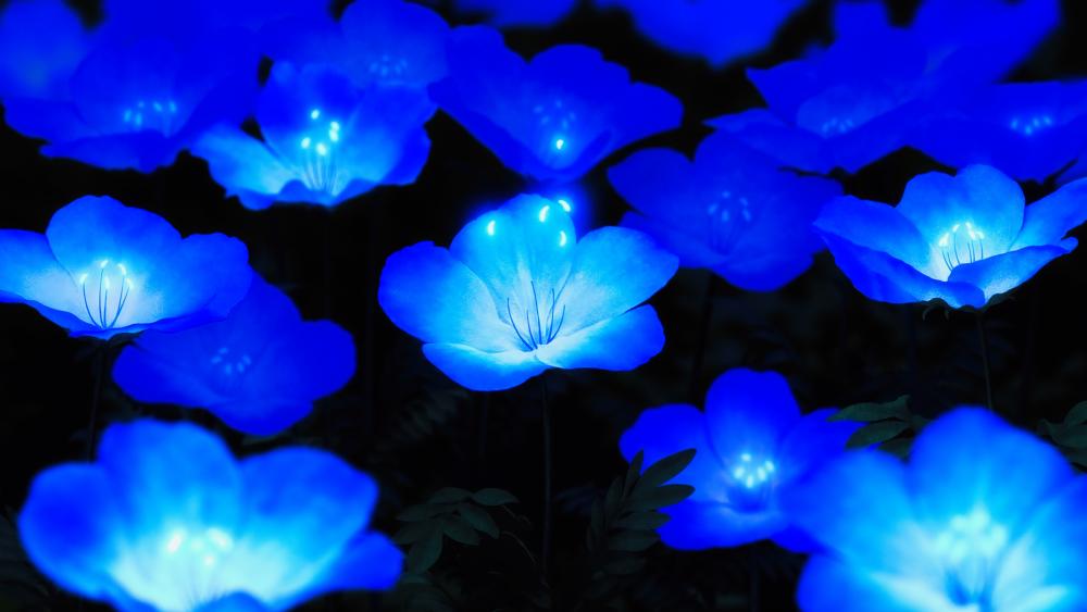 Illuminating blue flowers wallpaper