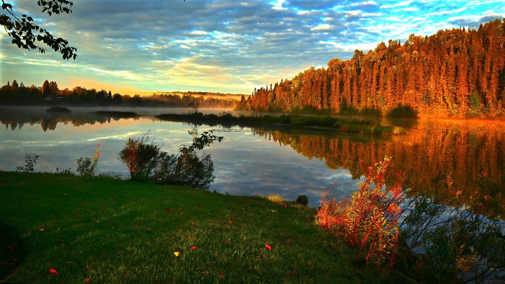 Golden Sunrise Over Tranquil Lake wallpaper