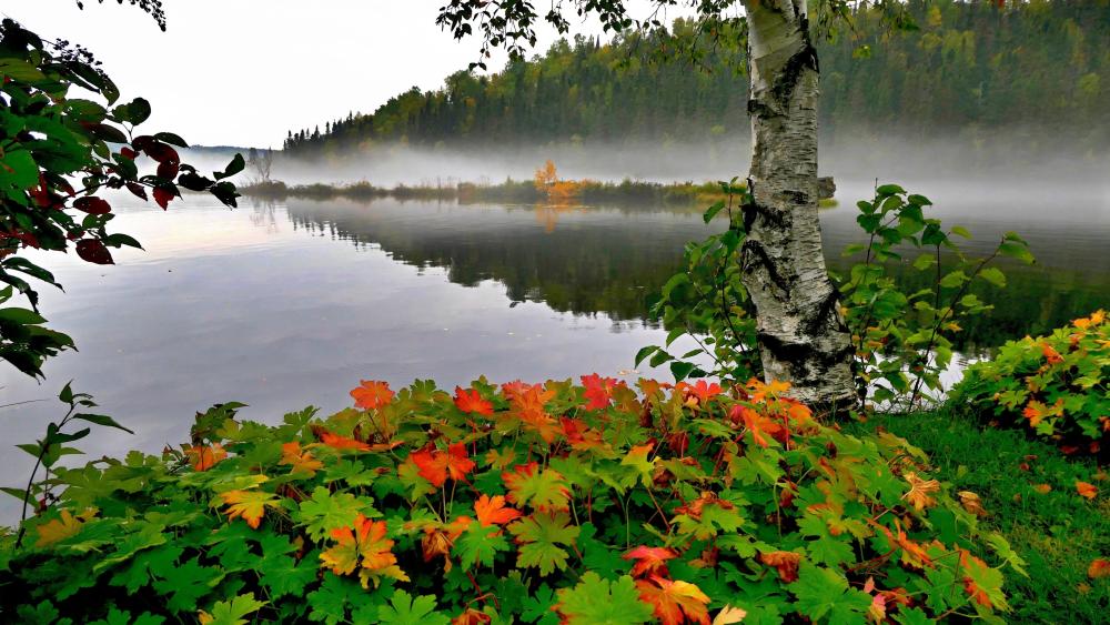 Early autumn mist on the lake wallpaper