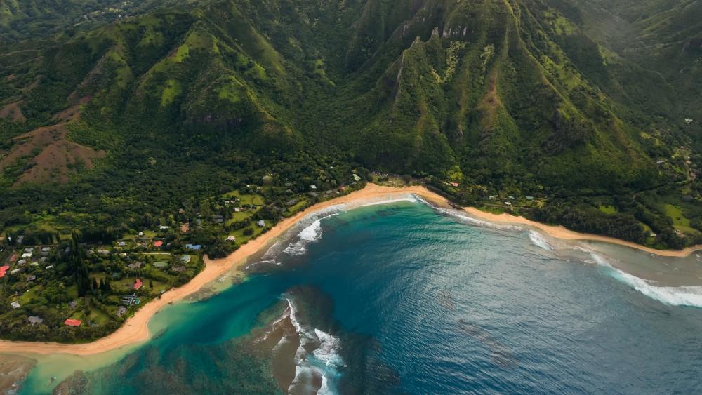 Aerial View of Tropical Paradise Beach wallpaper