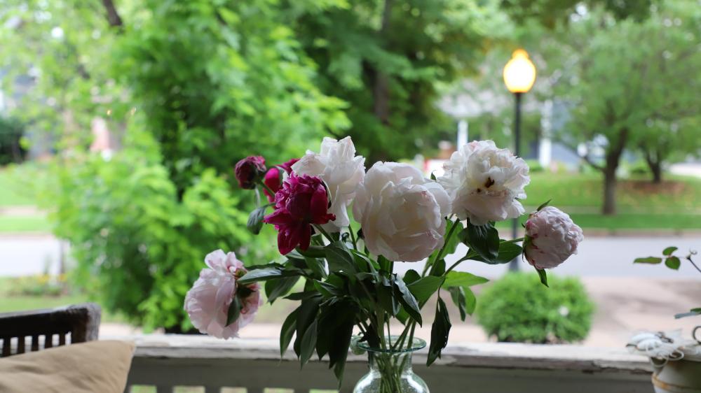 front porch peonies wallpaper