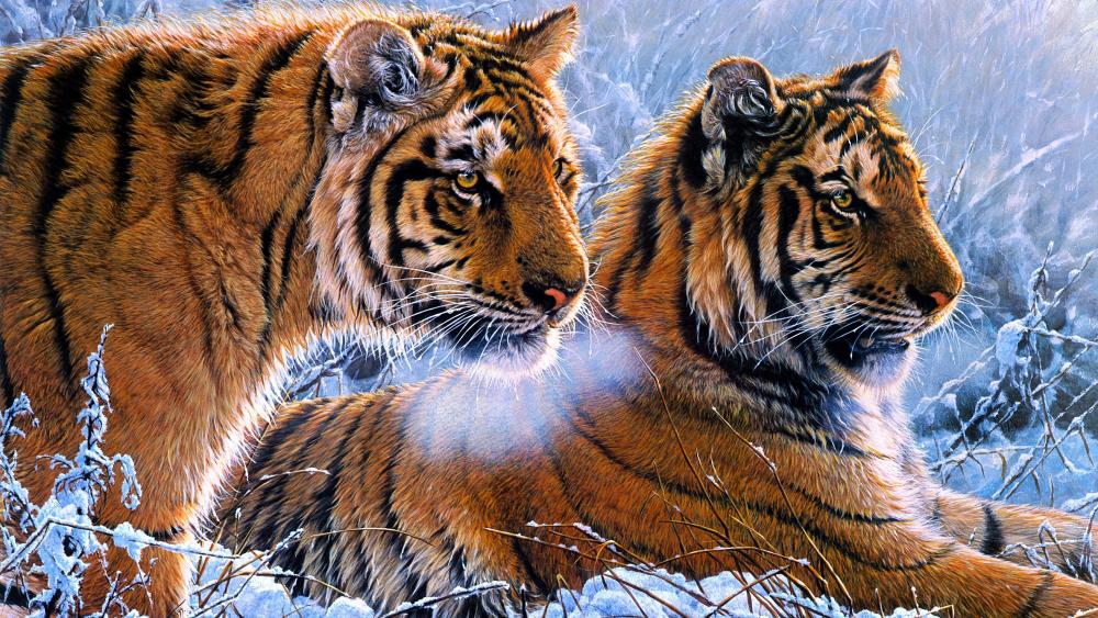 Winter Majesty Tiger Duo wallpaper