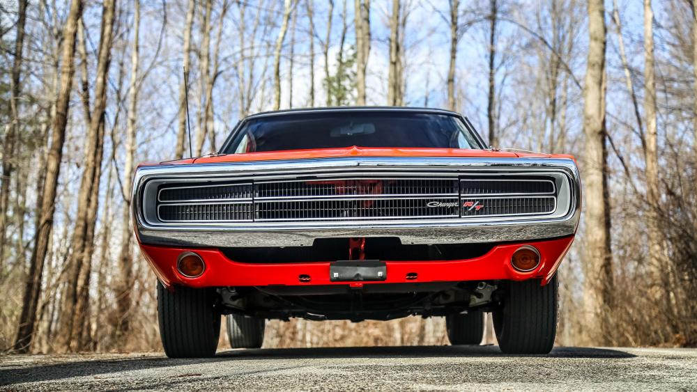 Classic Muscle Car in Forest Setting wallpaper