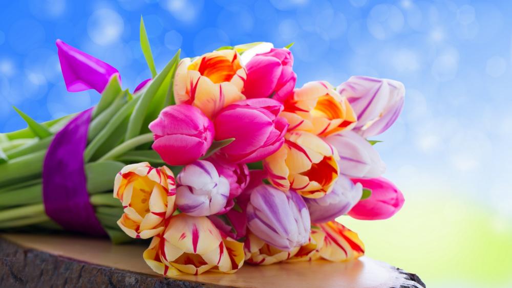 Colourful flowers wallpaper