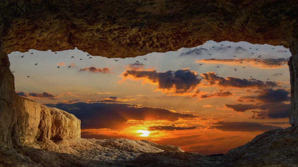 Sunset Sanctuary in Nature's Frame wallpaper