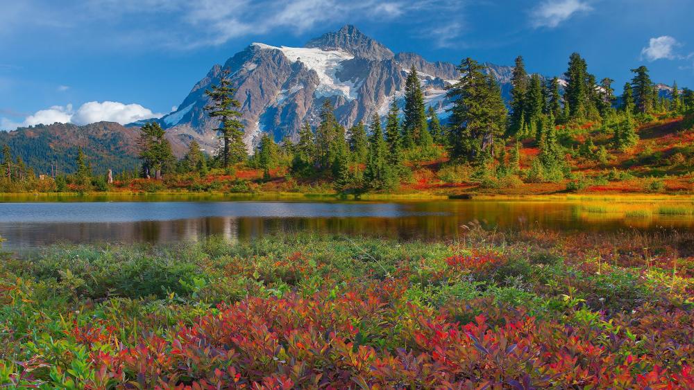 Majestic Mountain Reflection in Pristine Lake wallpaper