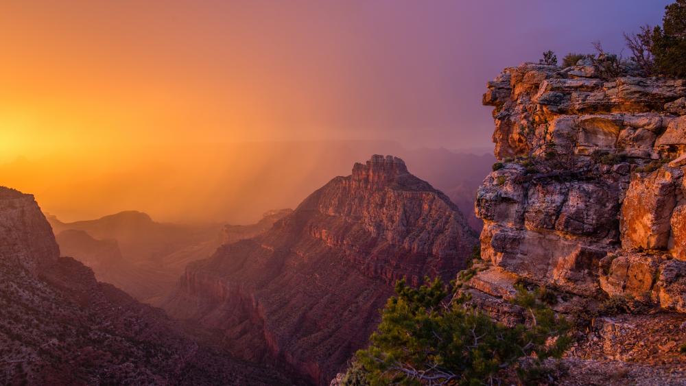 Golden Canyon Sunset Splendor wallpaper