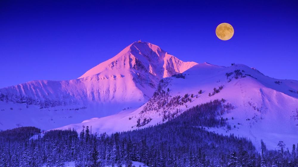 Winter's Night Embrace with Moonlit Peak wallpaper