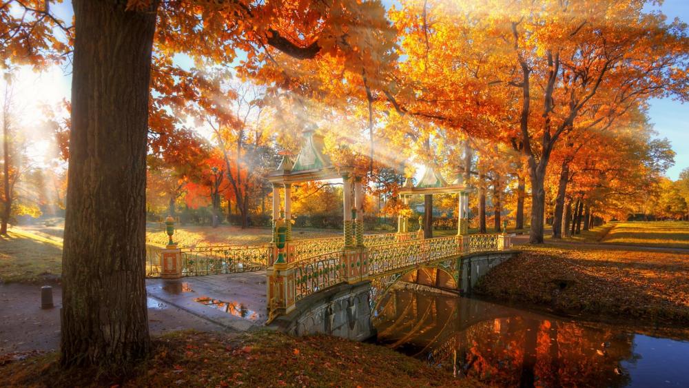 Autumn Serenity in a Park wallpaper
