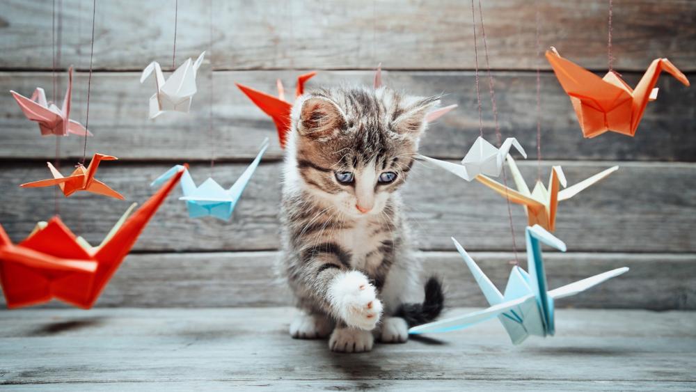 Playful Kitten Among Origami Birds wallpaper
