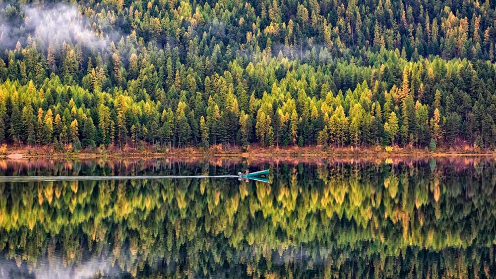 Serenity in Nature's Reflection wallpaper