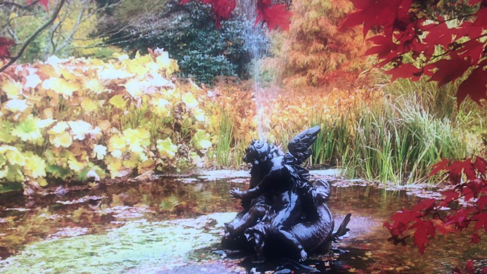 Benmore Botanic Garden_fountain in autumn wallpaper