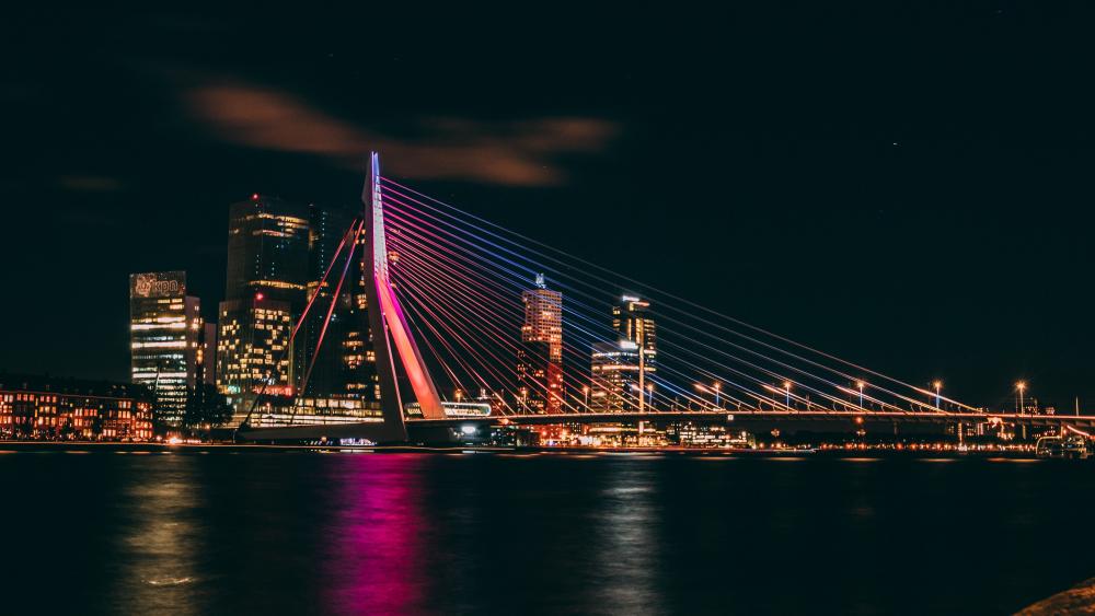 Erasmus Bridge in Rotterdam at night wallpaper